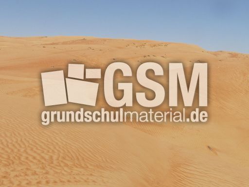 175 Wüste, Wahiba Sands.JPG